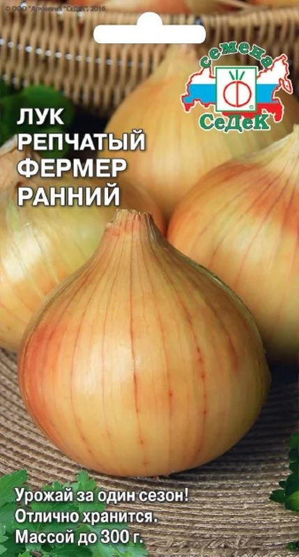 Популярные