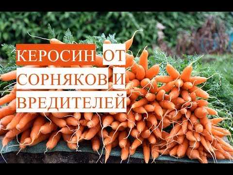 Корректное