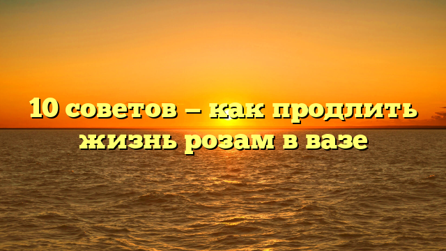 10 советов — как продлить жизнь розам в вазе