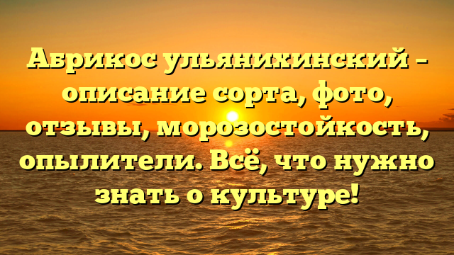 Абрикос ульянихинский – описание сорта, фото, отзывы, морозостойкость, опылители. Всё, что нужно знать о культуре!