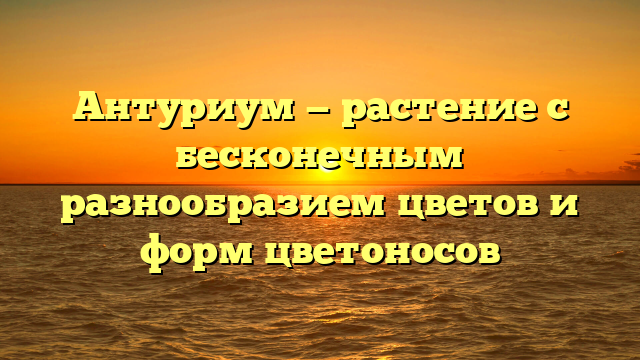 Антуриум — растение с бесконечным разнообразием цветов и форм цветоносов