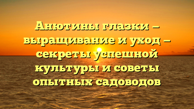 Анютины глазки — выращивание и уход — секреты успешной культуры и советы опытных садоводов