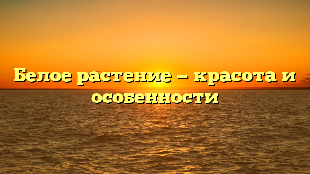 Белое растение — красота и особенности