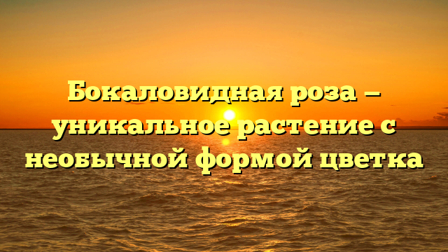 Бокаловидная роза — уникальное растение с необычной формой цветка