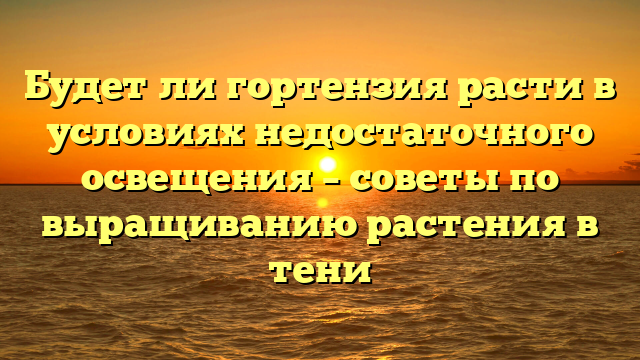 Будет ли гортензия расти в условиях недостаточного освещения – советы по выращиванию растения в тени