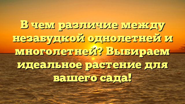 В чем различие между незабудкой однолетней и многолетней? Выбираем идеальное растение для вашего сада!