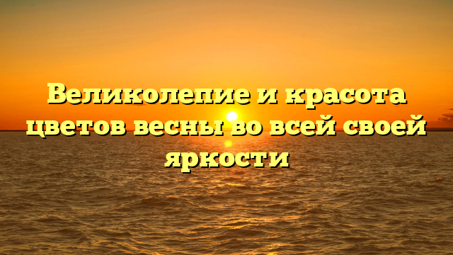 Великолепие и красота цветов весны во всей своей яркости