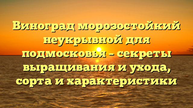 Виноград морозостойкий неукрывной для подмосковья – секреты выращивания и ухода, сорта и характеристики