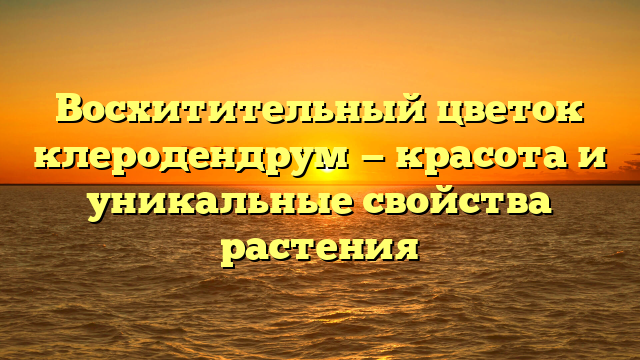 Восхитительный цветок клеродендрум — красота и уникальные свойства растения