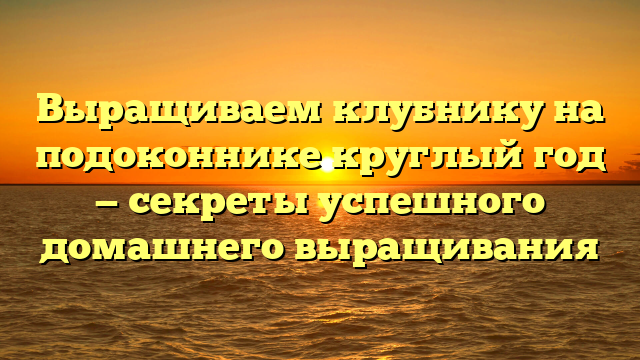 Выращиваем клубнику на подоконнике круглый год — секреты успешного домашнего выращивания