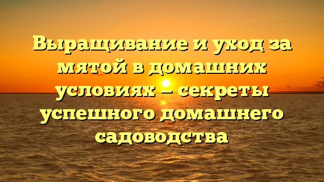 Выращивание и уход за мятой в домашних условиях — секреты успешного домашнего садоводства