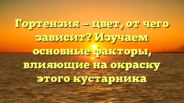 Гортензия — цвет, от чего зависит? Изучаем основные факторы, влияющие на окраску этого кустарника