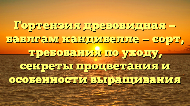 Гортензия древовидная — баблгам кандибелле — сорт, требования по уходу, секреты процветания и особенности выращивания