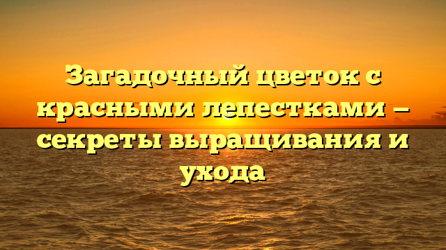 Загадочный цветок с красными лепестками — секреты выращивания и ухода