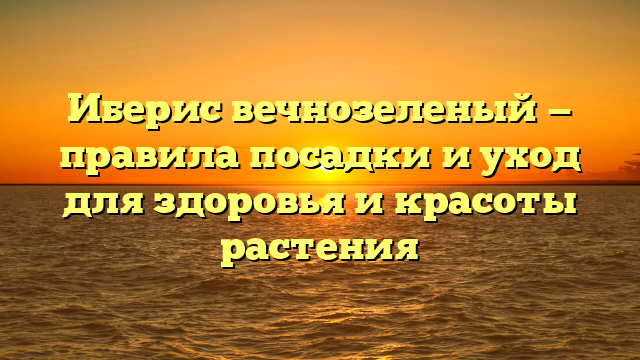 Иберис вечнозеленый — правила посадки и уход для здоровья и красоты растения