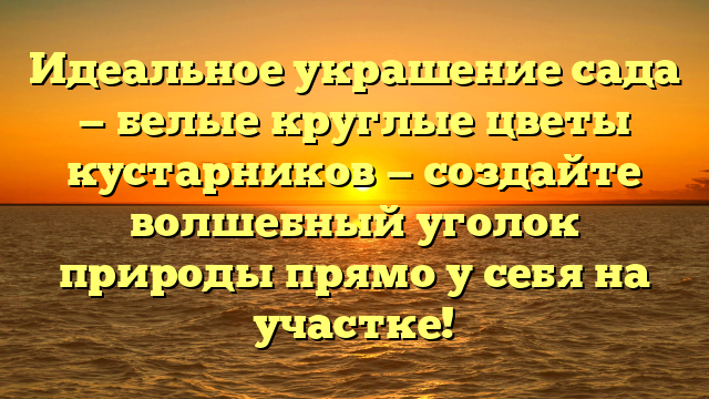 Идеальное украшение сада — белые круглые цветы кустарников — создайте волшебный уголок природы прямо у себя на участке!