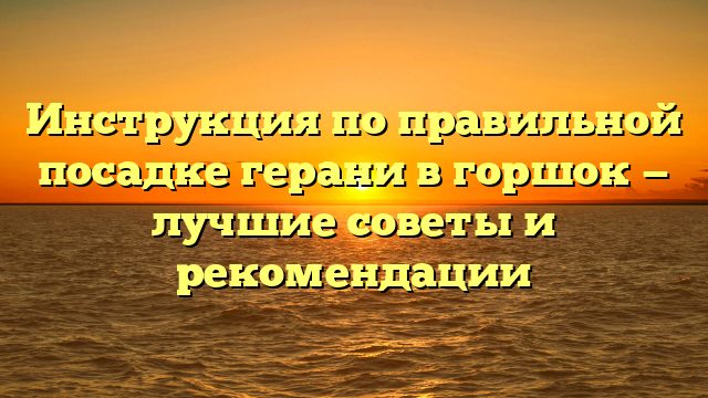 Инструкция по правильной посадке герани в горшок — лучшие советы и рекомендации