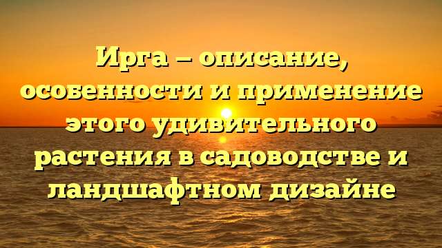 Ирга — описание, особенности и применение этого удивительного растения в садоводстве и ландшафтном дизайне