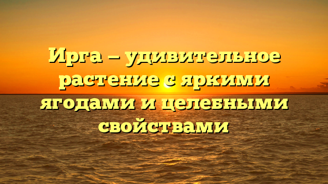 Ирга — удивительное растение с яркими ягодами и целебными свойствами