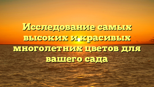 Исследование самых высоких и красивых многолетних цветов для вашего сада