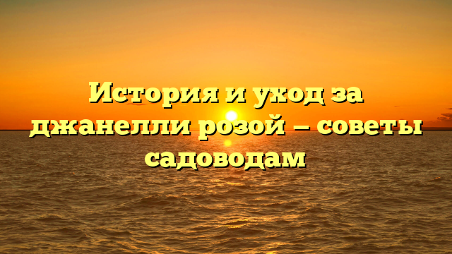 История и уход за джанелли розой — советы садоводам