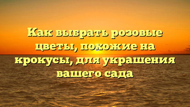 Как выбрать розовые цветы, похожие на крокусы, для украшения вашего сада