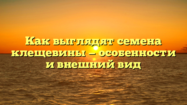 Как выглядят семена клещевины — особенности и внешний вид