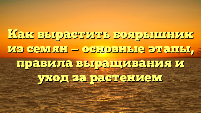 Как вырастить боярышник из семян — основные этапы, правила выращивания и уход за растением