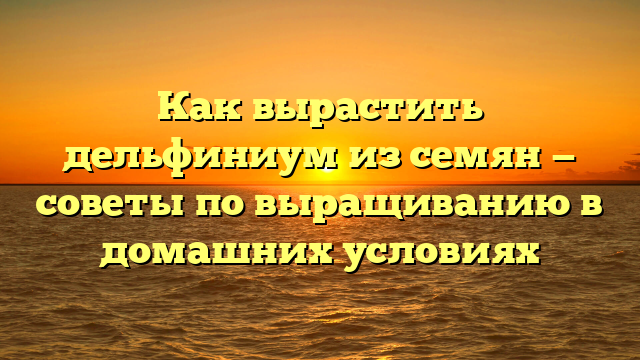 Как вырастить дельфиниум из семян — советы по выращиванию в домашних условиях