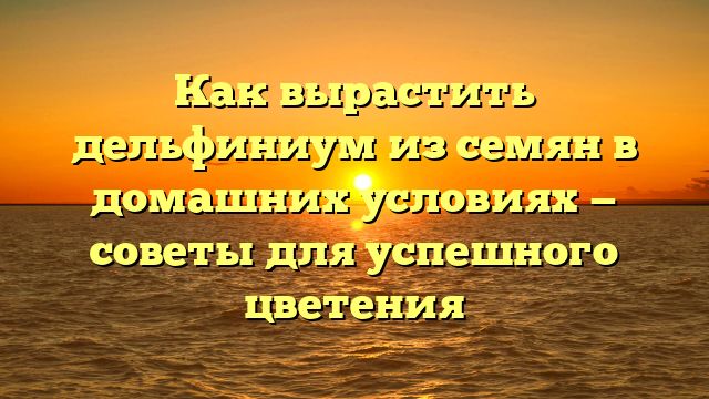 Как вырастить дельфиниум из семян в домашних условиях — советы для успешного цветения