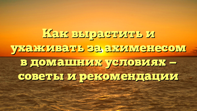 Как вырастить и ухаживать за ахименесом в домашних условиях — советы и рекомендации