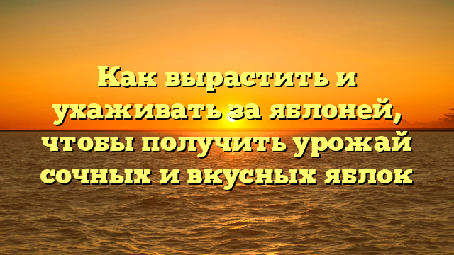 Как вырастить и ухаживать за яблоней, чтобы получить урожай сочных и вкусных яблок