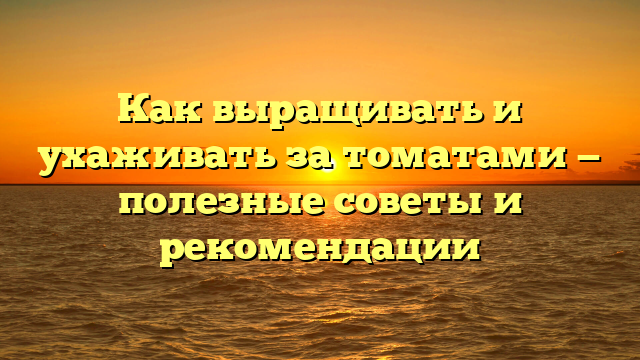 Как выращивать и ухаживать за томатами — полезные советы и рекомендации