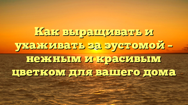 Как выращивать и ухаживать за эустомой – нежным и красивым цветком для вашего дома