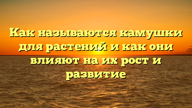 Как называются камушки для растений и как они влияют на их рост и развитие