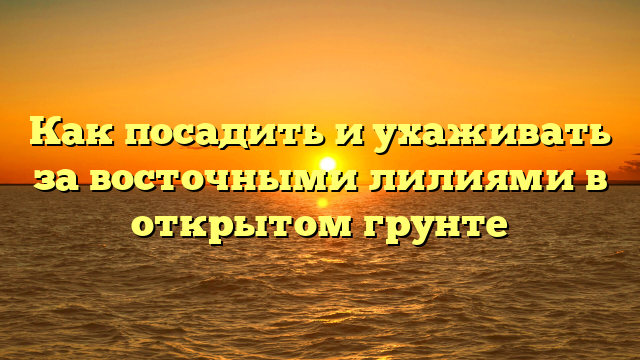 Как посадить и ухаживать за восточными лилиями в открытом грунте