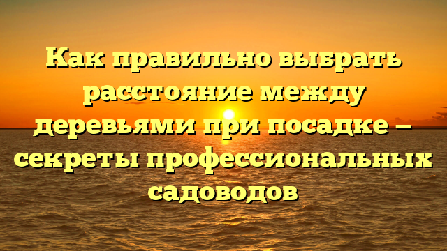 Как правильно выбрать расстояние между деревьями при посадке — секреты профессиональных садоводов