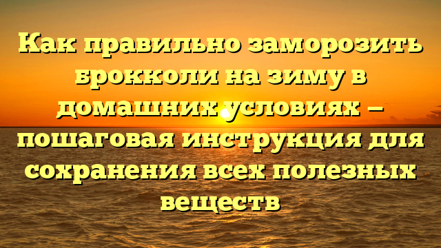 Как правильно заморозить брокколи на зиму в домашних условиях — пошаговая инструкция для сохранения всех полезных веществ