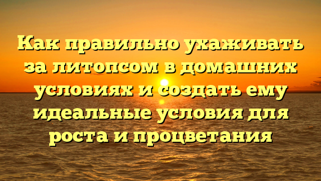 Как правильно ухаживать за литопсом в домашних условиях и создать ему идеальные условия для роста и процветания