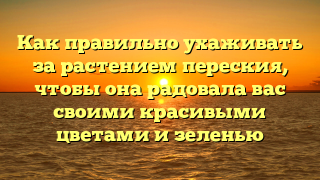 Как правильно ухаживать за растением переския, чтобы она радовала вас своими красивыми цветами и зеленью