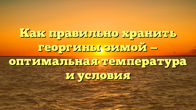 Как правильно хранить георгины зимой — оптимальная температура и условия