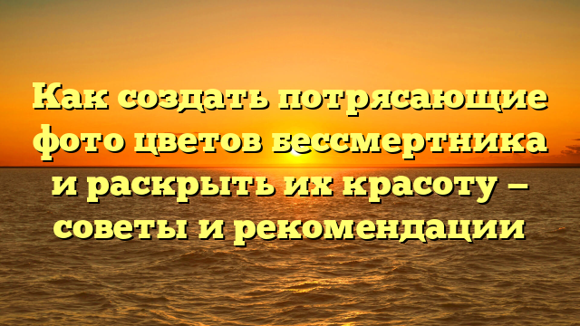 Как создать потрясающие фото цветов бессмертника и раскрыть их красоту — советы и рекомендации