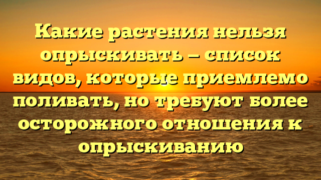 Какие растения нельзя опрыскивать — список видов, которые приемлемо поливать, но требуют более осторожного отношения к опрыскиванию