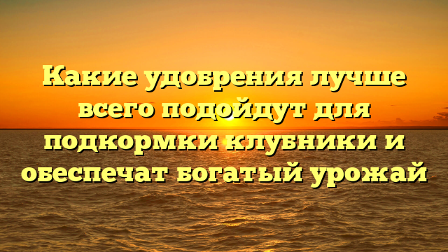 Какие удобрения лучше всего подойдут для подкормки клубники и обеспечат богатый урожай