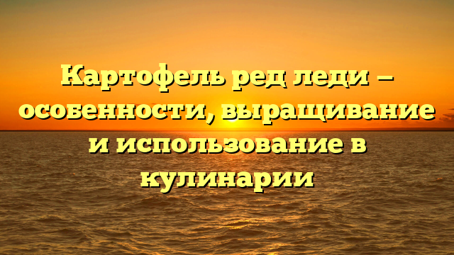 Картофель ред леди — особенности, выращивание и использование в кулинарии