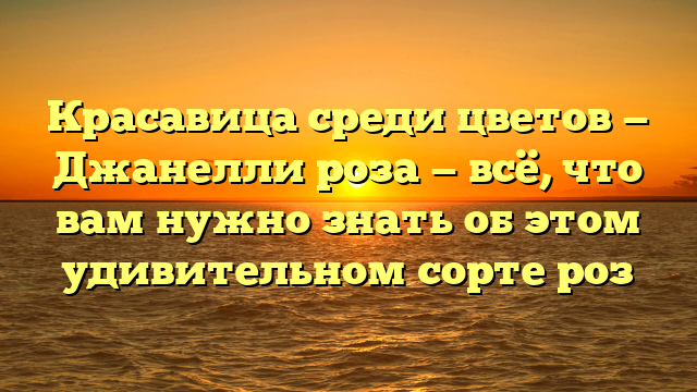 Красавица среди цветов — Джанелли роза — всё, что вам нужно знать об этом удивительном сорте роз