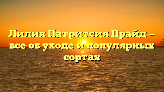 Лилия Патритсия Прайд — все об уходе и популярных сортах