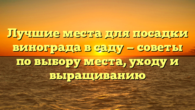 Лучшие места для посадки винограда в саду — советы по выбору места, уходу и выращиванию