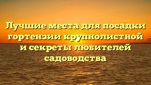 Лучшие места для посадки гортензии крупнолистной и секреты любителей садоводства