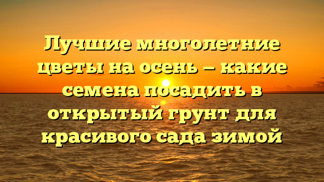 Лучшие многолетние цветы на осень — какие семена посадить в открытый грунт для красивого сада зимой